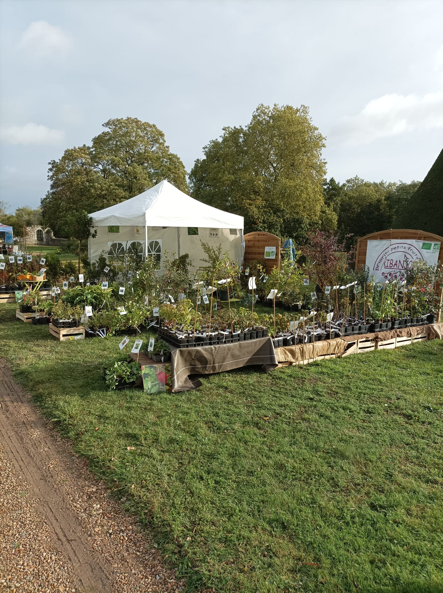 Fêtes des Plants d'Automne 2024